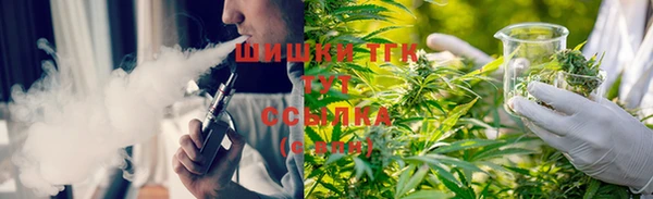 индика Беломорск