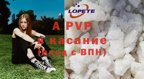 индика Беломорск