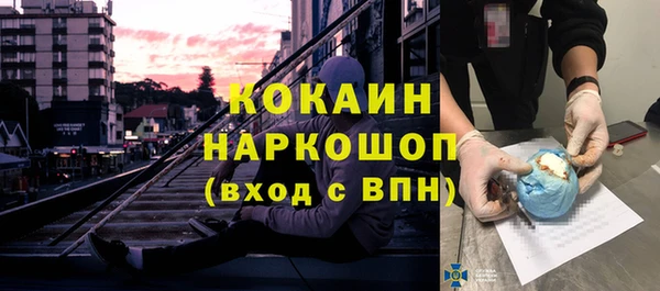 индика Беломорск
